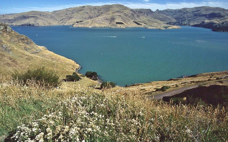 WT 0200 033-18 New Zealand.jpg